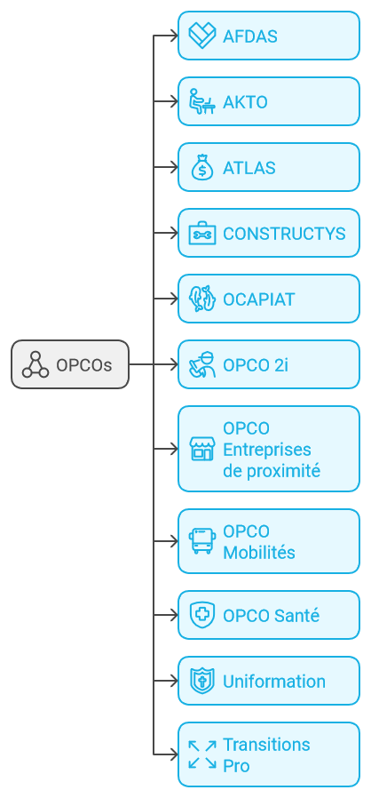 Les 11 OPCO